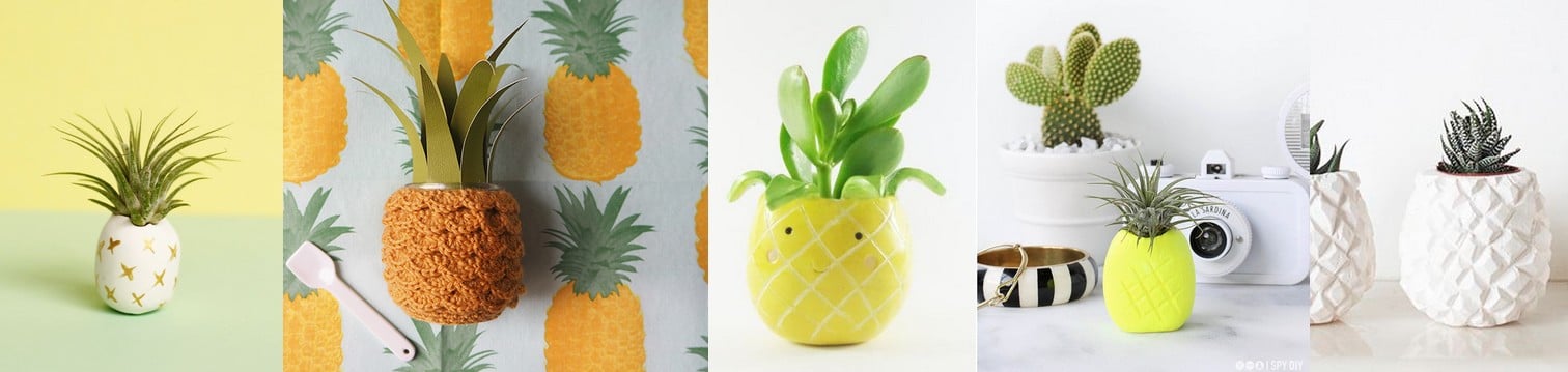 Ananas (plante)